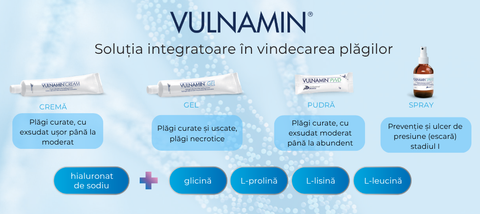 Gama VULNAMIN®, acțiunea acidului hialuronic și aminoacizilor
