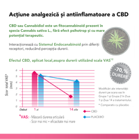 Regendol® cremă pentru articulații și mușchi cu CBD, 60 ml