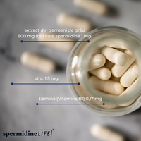 Spermidine LIFE® Original 365+ 2 mg, regenerare celulară, 60 caps.