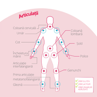 Regendol® FORTE, supliment alimentar pentru articulații, 14 fiole